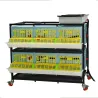 Cage engraissement caille/perdrix 2 étages - CIMUKA Cage engraissement caille/perdrix 2 étages - CIMUKA