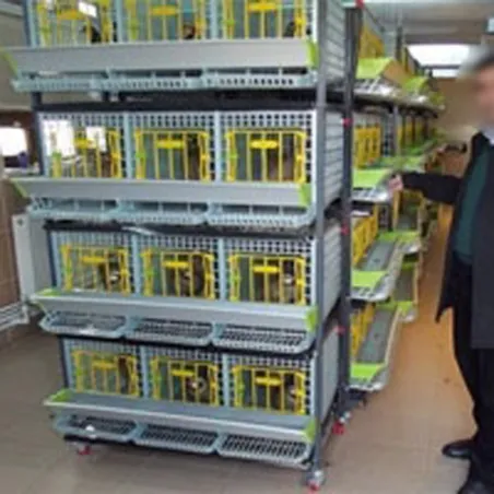 Cage d'élevage perdrix 3 étages - CIMUKA Cage d'élevage perdrix 3 étages - CIMUKA