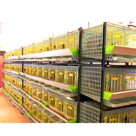 Cage d'élevage perdrix 3 étages - CIMUKA Cage d'élevage perdrix 3 étages - CIMUKA
