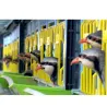 Cage d'élevage perdrix 3 étages - CIMUKA Cage d'élevage perdrix 3 étages - CIMUKA