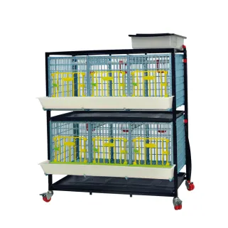 Cage croissance/engraissement pour volailles 2 étages - CIMUKA
