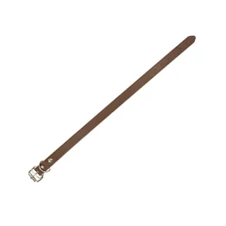 Collier cuir riveté simple