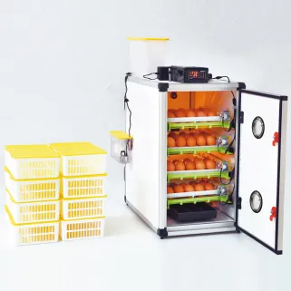 Couveuse automatique Cimuka CT-120-SH