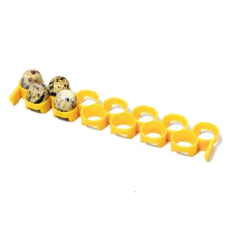 Barrette spéciale caille pour couveuse automatique avec plateau C30 - CIMUKA
