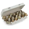 Boite oeufs caille carton 18 oeufs Boite oeufs caille carton 18 oeufs
