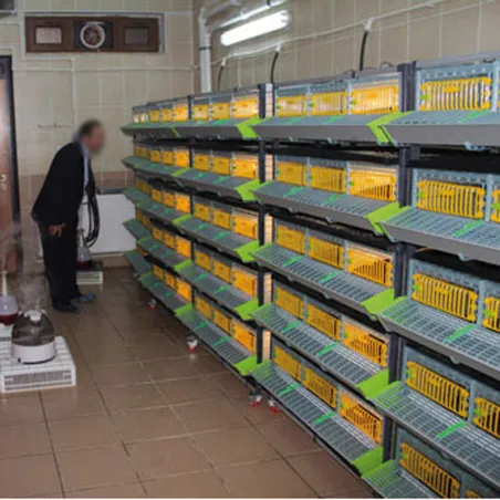 Cage engraissement cailles/perdrix 3 étages Cage engraissement cailles/perdrix 3 étages