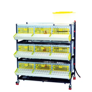 Cage engraissement cailles/perdrix 3 étages
