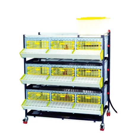 Cage engraissement cailles/perdrix 3 étages