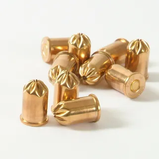 Lot de 10 cartouches pour fusil à taupes