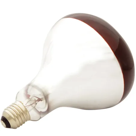 Ampoule infrarouge pour éleveuse Ampoule infrarouge pour éleveuse