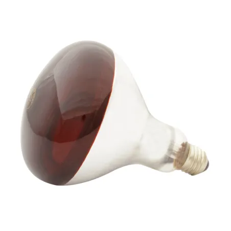Ampoule infrarouge pour éleveuse