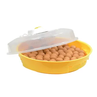 Couveuse manuelle 70 oeufs (Puisor IO-202)