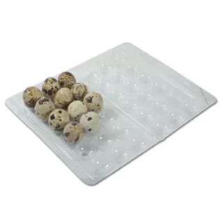 Boites à oeufs de caille plastique 18 oeufs