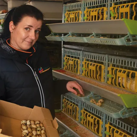 Cage pour cailles pondeuses (5 étages) - CIMUKA Cage pour cailles pondeuses (5 étages) - CIMUKA