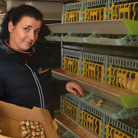 Cage pour cailles pondeuses - CIMUKA Cage pour cailles pondeuses - CIMUKA
