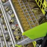 Cage pour cailles pondeuses - CIMUKA Cage pour cailles pondeuses - CIMUKA