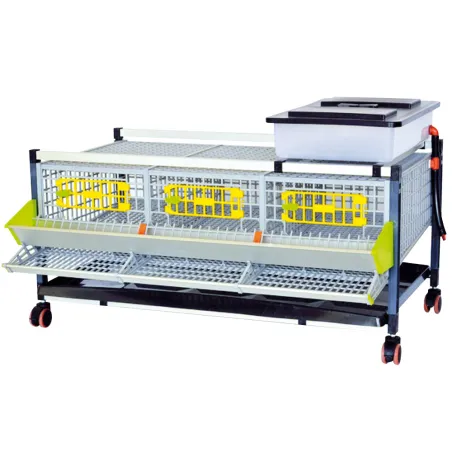 Cage pour cailles pondeuses - CIMUKA