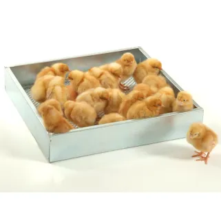 Panier d'éclosion pour couveuses Ducat 140 AV et 175 AV