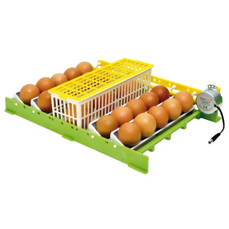 Panier d'éclosion 6 oeufs - CIMUKA Panier d'éclosion 6 oeufs - CIMUKA
