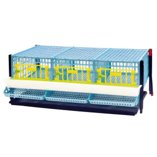 Cage cailles pondeuses étage supplémentaire - CIMUKA