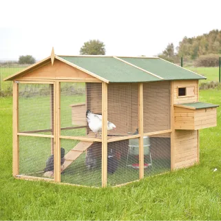 Poulailler 12 poules - AVIZEN®