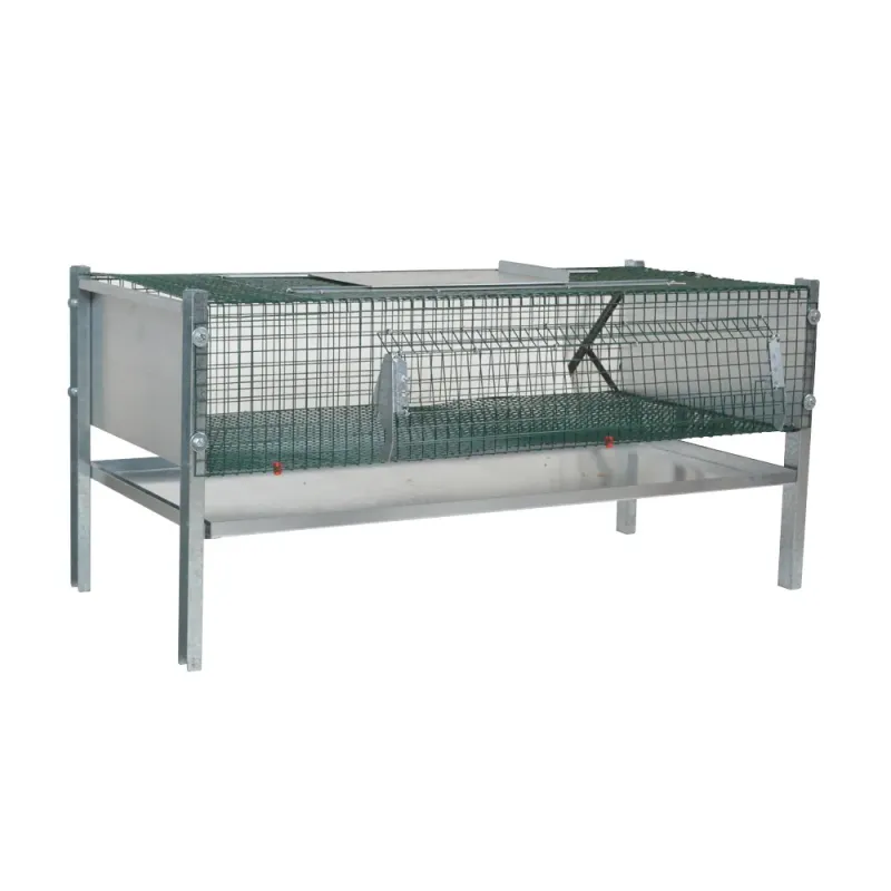 Cage d'engraissement en maille galvanisée thermolaquée pour cailles Cage d'engraissement en maille galvanisée thermolaquée pour cailles