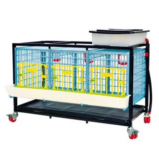 Cage croissance/engraissement base 1 étage - CIMUKA