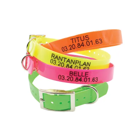 Collier fluo BioThane Biogold gravé taille standard