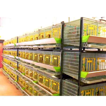 Cage d'élevage perdrix étage supplémentaire - CIMUKA Cage d'élevage perdrix étage supplémentaire - CIMUKA