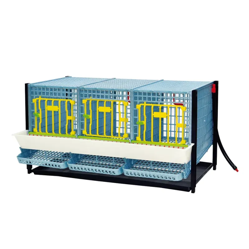 Cage d'élevage perdrix étage supplémentaire - CIMUKA Cage d'élevage perdrix étage supplémentaire - CIMUKA