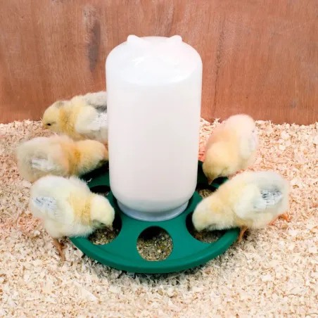 Mangeoire à trous pour poussins et cailles Mangeoire à trous pour poussins et cailles