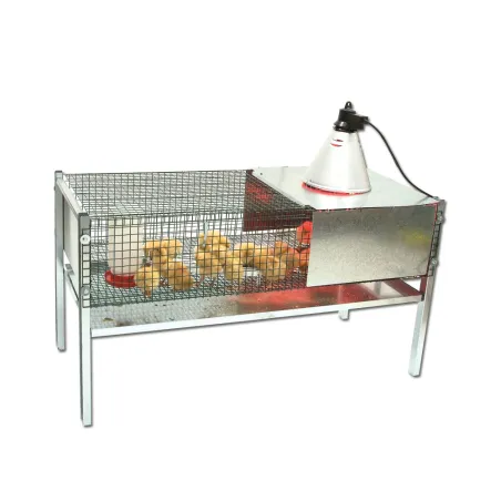 Kit cage éleveuse poussins 220 volts