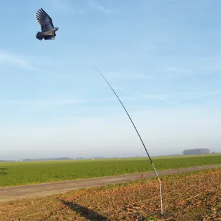 Mât télescopique pour cerf volant effaroucheur