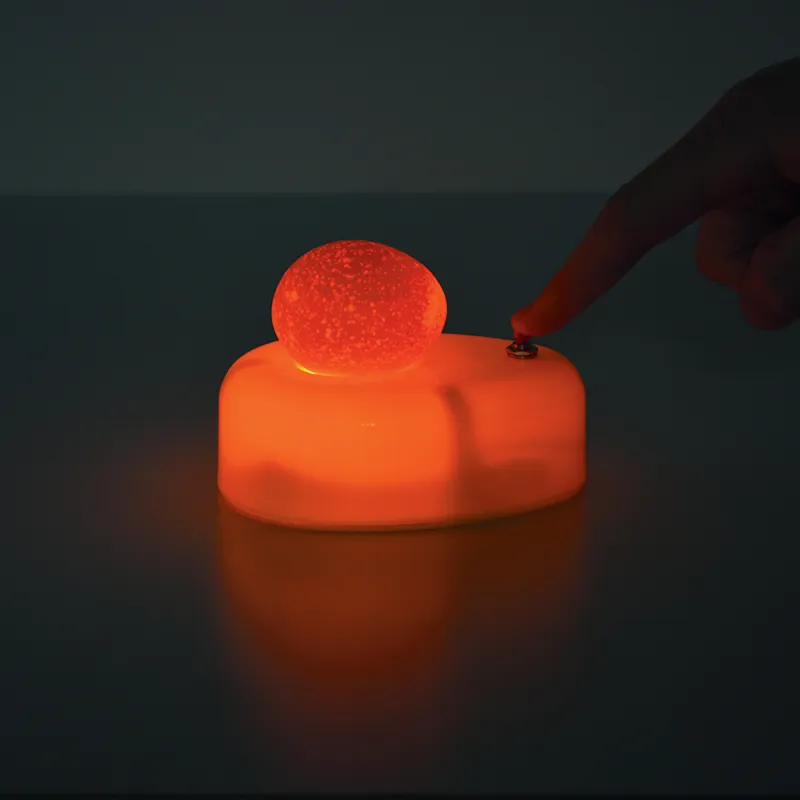 Mire-œuf Avec Adaptateur Secteur - Testeur D'œufs Rapide Et Fiable Pour Cuisine