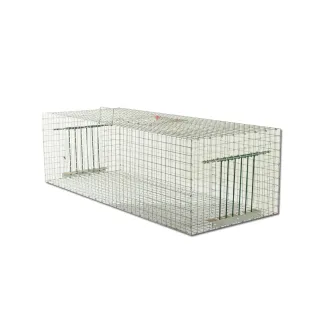 Cage piège à pigeon