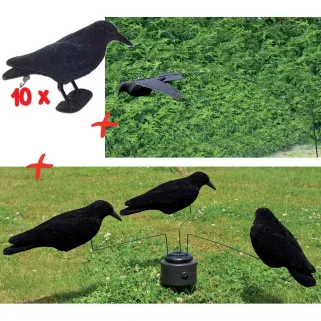 Kit spécial corvidés avec appelants, manège et flotteur