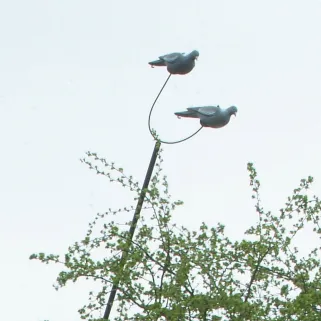 Rallonge supplementaire pour Mât à pigeons 1m50