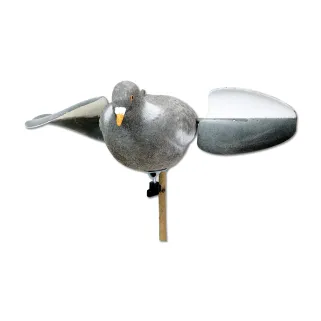 Appelant pigeon floqué à ailes tournantes