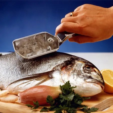 Écailleur à poisson 'Scalex' Grattoir à Poisson avec réservoir