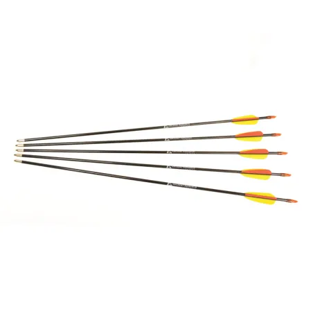 Lot de 5 flèches 26" en fibre de verre