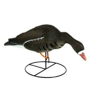 Appelant HD Oie rieuse sur pied feeder