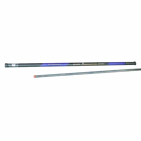 Canne au coup Carbone 11m