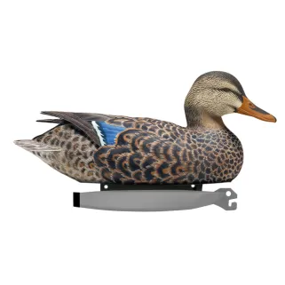 Pack de 6 Colvert Femelle Ultra HD moussé