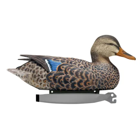 Pack de 6 Colvert Femelle Ultra HD moussé