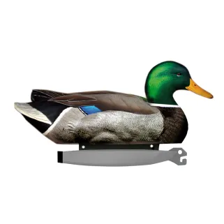 Pack de 6 Colvert Male Ultra HD moussé