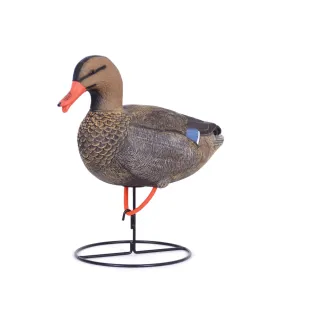Appelant colvert femelle cou droit sur pied en acier