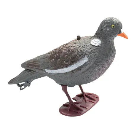 Appelant Pigeon au posé