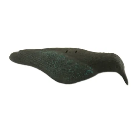 Appelant Corbeau coquille