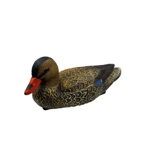 Appelant Colvert femelle HD 38 x 18cm