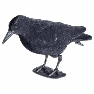 Appelant corbeau floqué